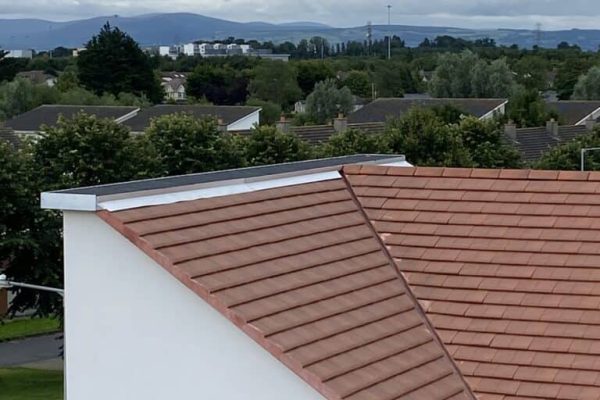 roof-tiles-768x1024